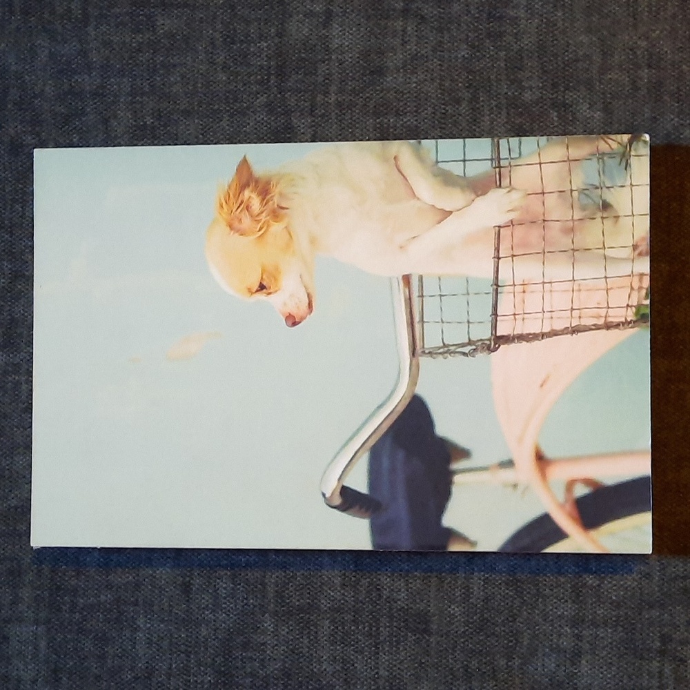 Chihuahua Journal Hardcover Lined Paper Yester Board Book Cover Journals USA NWT